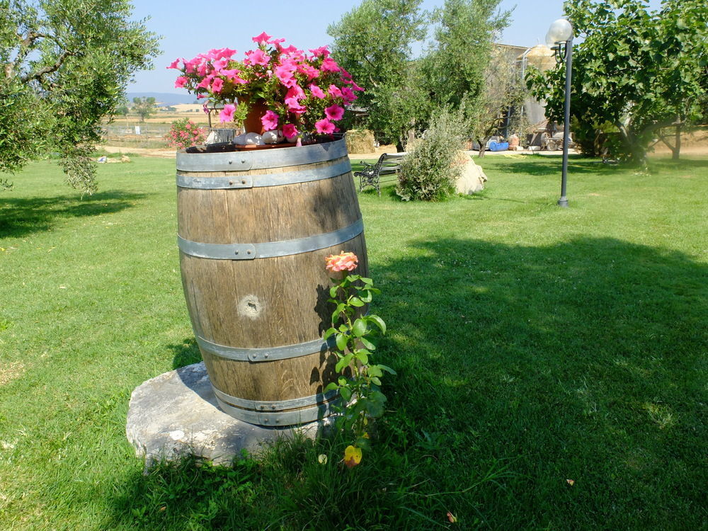 Farm stay Al Girasole San Donato (Tuscany)